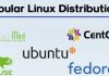 Top 15 Most Popular Linux Distributions Of 2018
