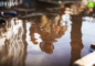 Battlefield V to Feature 60Hz Tickrate for PC Servers at Launch, 30Hz for Consoles