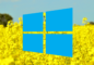Microsoft Releases Critical Update to Fix Windows 10 BSOD Error on HP Devices Microsoft Releases Critical Update to Fix Windows 10 BSOD Error on HP Devices