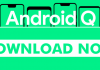 Google: Try Android Q Before Its Release