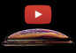 YouTube Stories Rolling Out for Creators With Over 10,000 Subscribers YouTube Stories Rolling Out for Creators With Over 10,000 Subscribers
