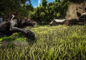 Pirate Survival MMO Atlas Announced For PC And Xbox One Pirate Survival MMO Atlas Announced For PC And Xbox One
